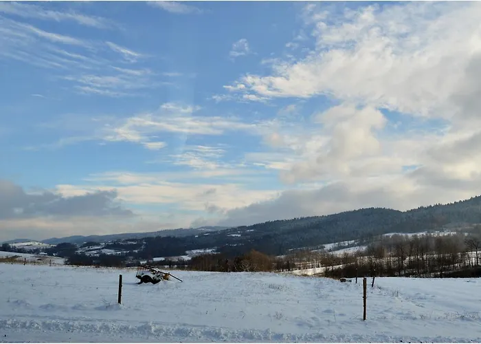 Apartment Panorama *